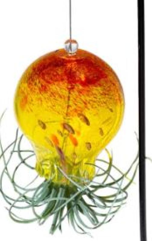 Smith's Gardentown - Air Plant Planter Octopus Lake Blue